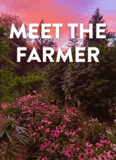 Meet the Farmer of Briceland Forest Farm
