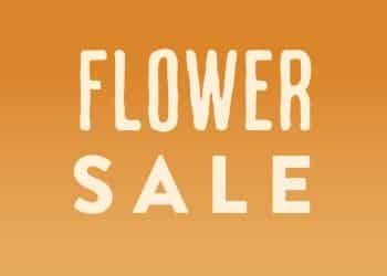 Flower Sale