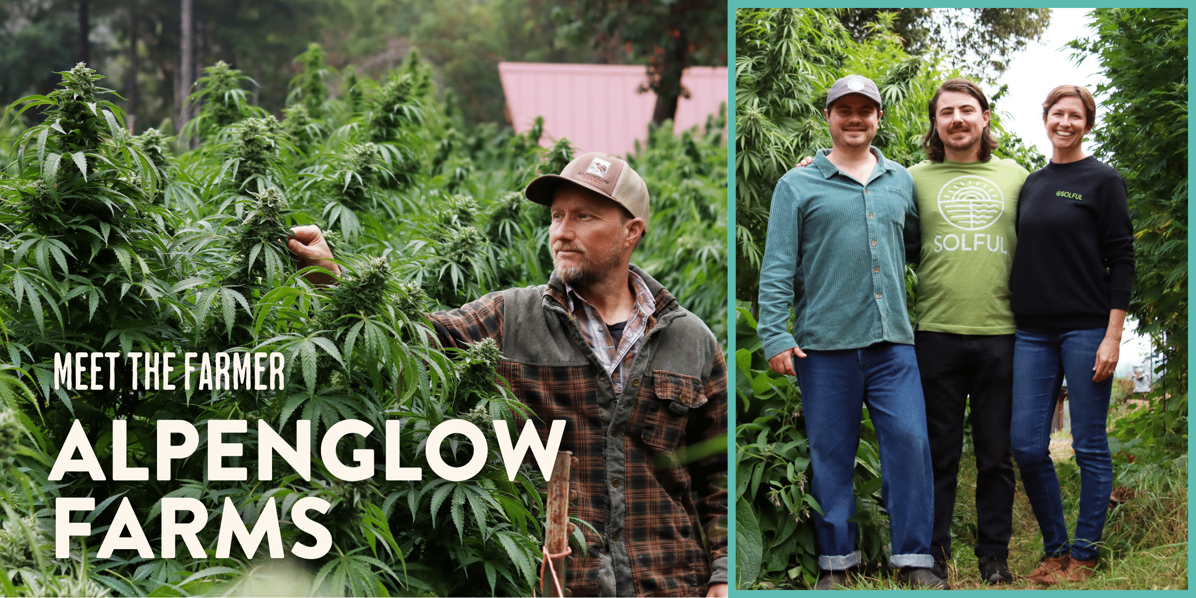 Left: Craig from Alpenglow Farms examines a cannabis plant. Right: Eli, Noah, and Summer from Alpenglow Farms pose together.