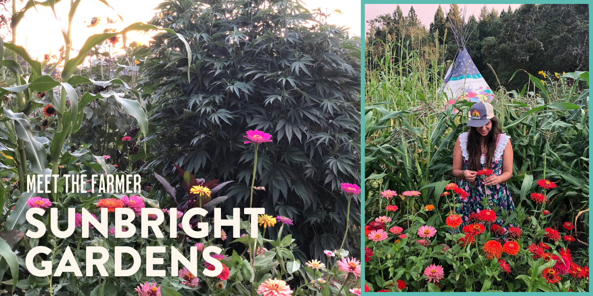 Meet the Farmer: Sunbright Gardens