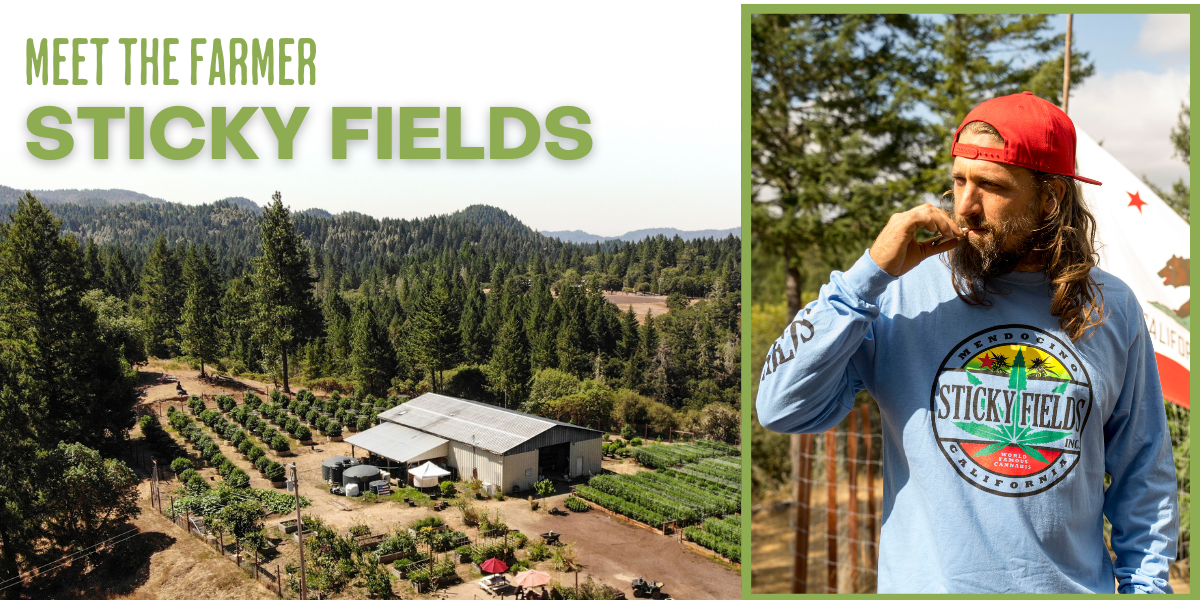 Aerial shot of the Sticky Fields farm side by side with a profile shot of Jesse wearing a Sticky Fields shirt, smoking