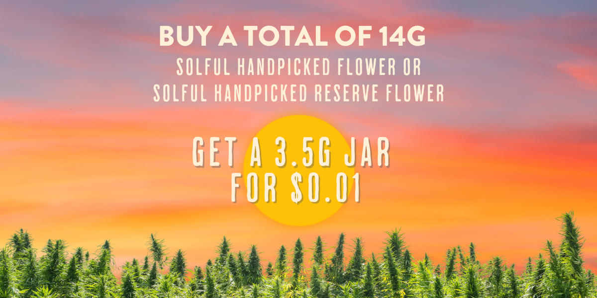 Illustrated summer sunset over cannabis field with text for special gift with purchase offer.