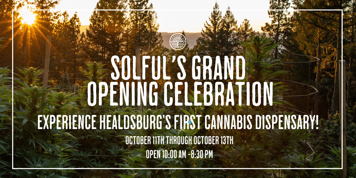 background image of a sunsetting behind a cannabis farm, text reads Solful's Grand Opening Celebration; experience healdsburg's first cananbis dispensary with dates and times written in white text