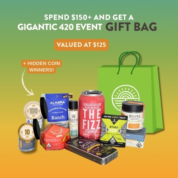 gift bag 1