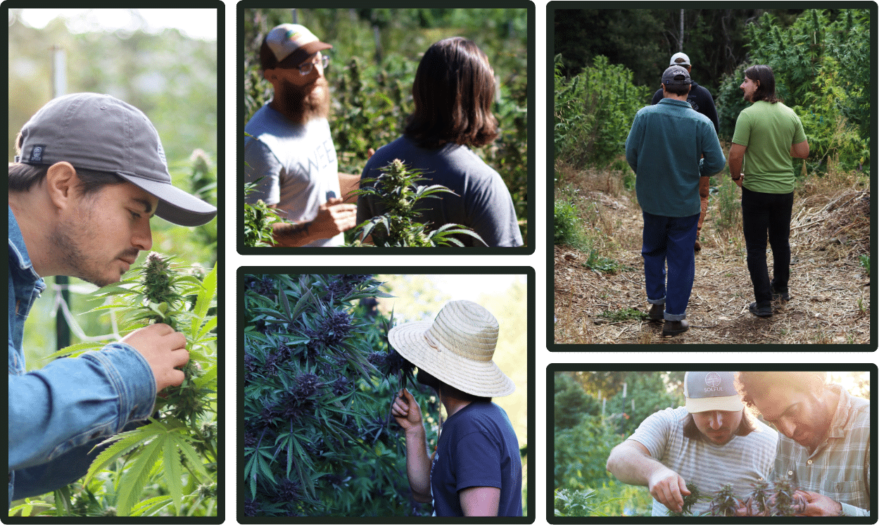Banner Fresh Harvest Images 1920x800px