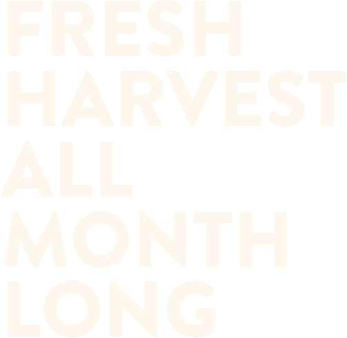 banner-text