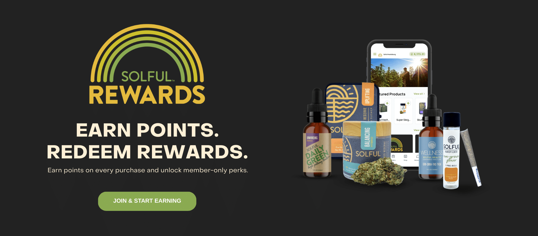Desktop Website Carousel - Solful Rewards (1820x800)