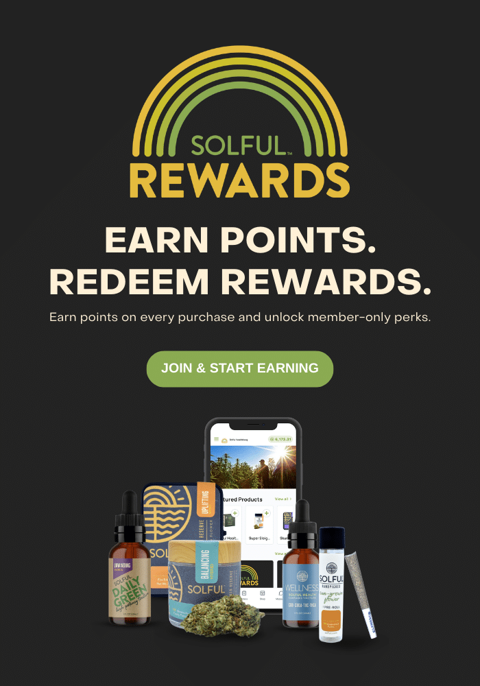 Mobile Website Carousel - Solful Rewards (700x1000px)