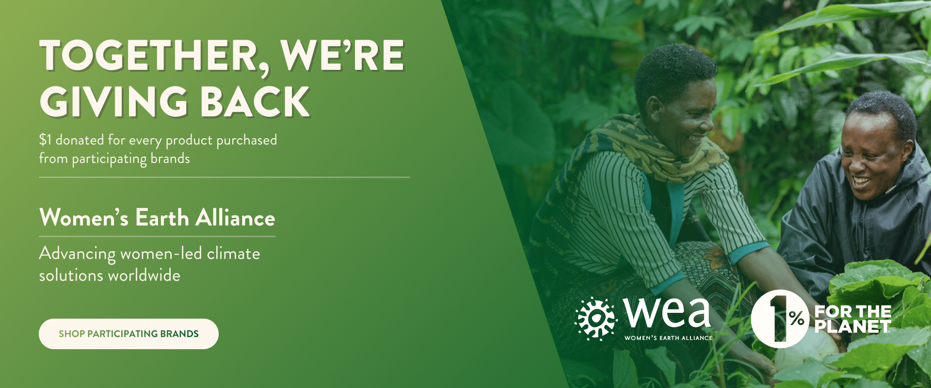 3 1 1% website carousel – wea (3)